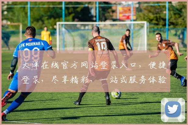 大洋在线官方网站登录入口，便捷登录，尽享精彩，一站式服务体验，快来加入