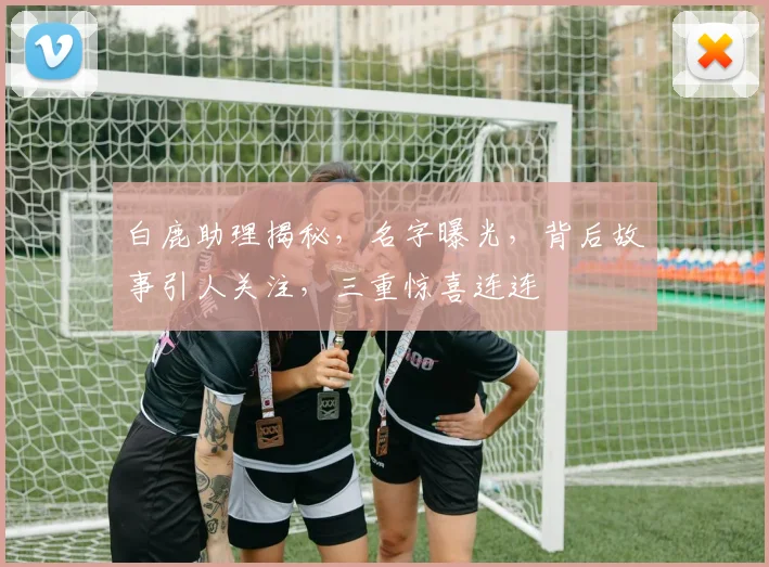 白鹿助理揭秘，名字曝光，背后故事引人关注，三重惊喜连连