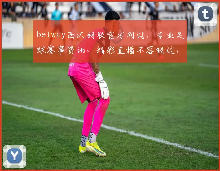 betway西汉姆联官方网站，专业足球赛事资讯，精彩直播不容错过，尽在西汉姆联官网，快来体验