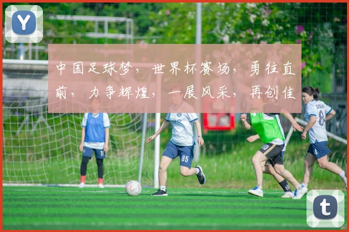 中国足球梦，世界杯赛场，勇往直前，力争辉煌，一展风采，再创佳绩