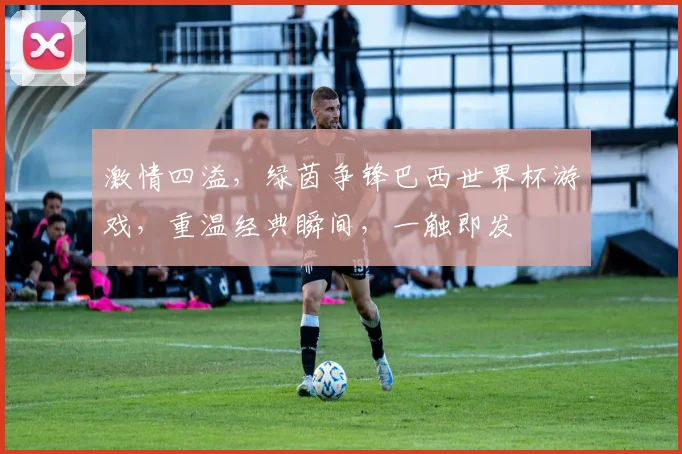 激情四溢，绿茵争锋巴西世界杯游戏，重温经典瞬间，一触即发