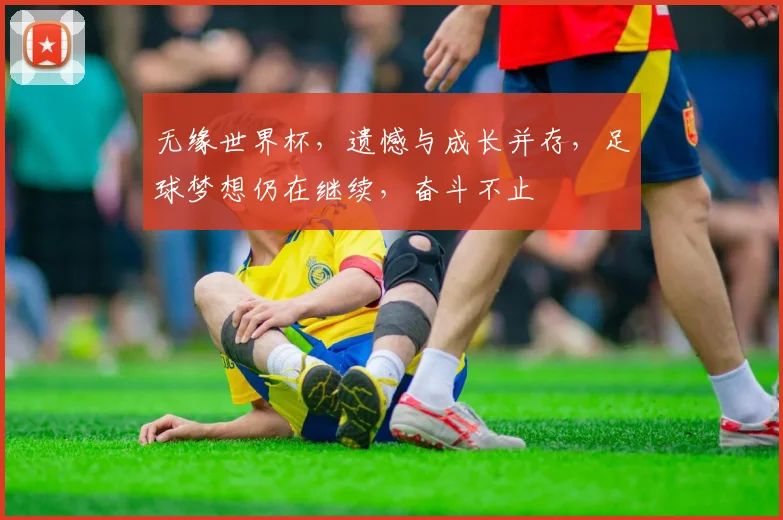 无缘世界杯，遗憾与成长并存，足球梦想仍在继续，奋斗不止