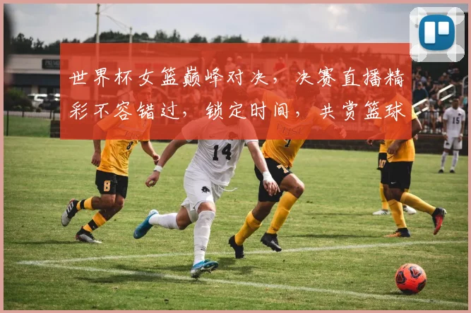 世界杯女篮巅峰对决，决赛直播精彩不容错过，锁定时间，共赏篮球盛宴，激情碰撞