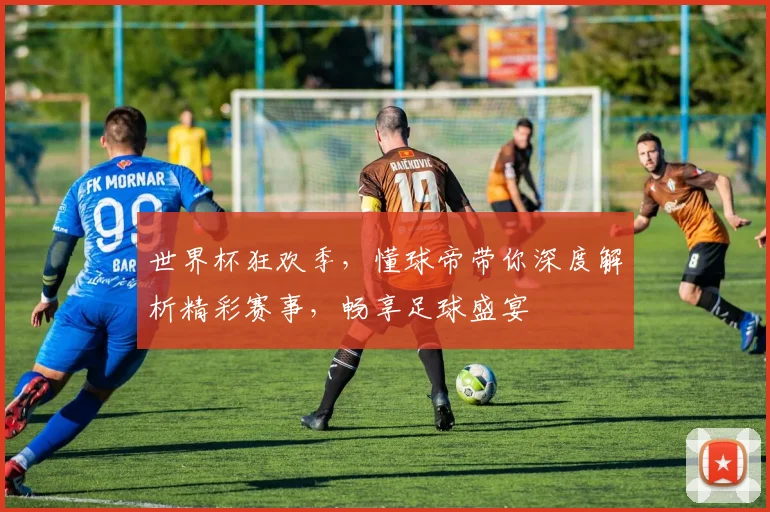 世界杯狂欢季，懂球帝带你深度解析精彩赛事，畅享足球盛宴